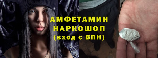 ешки Алексин