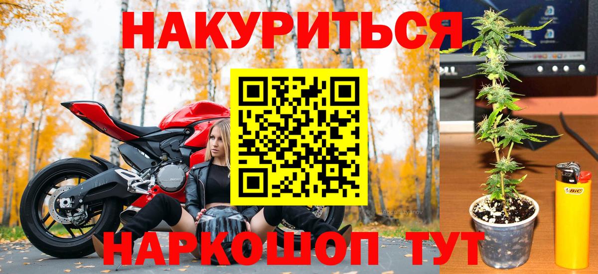 Конопля план  Бошки Шишки SATIVA & INDICA  Вход с VPN  Крымск 